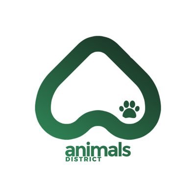 main account - @animalsdistrict, Pets & Animal Contents🐾 || Learn New Things Everyday.