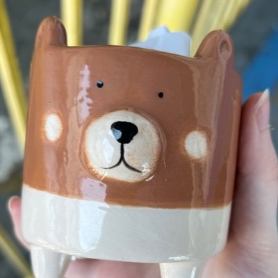 🌿fin !!!さんのプロフィール画像