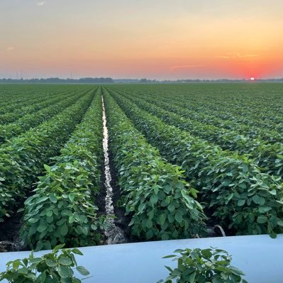 Northeast Arkansas Farmer