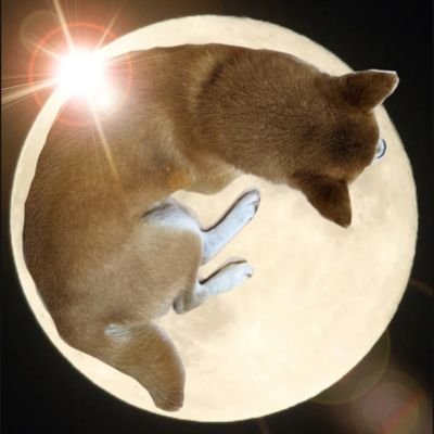 グッジィー🌕🎀🍁🧭⛪🚣さんのプロフィール画像