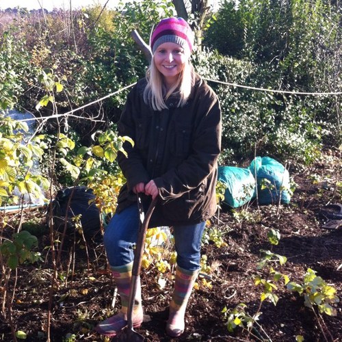 growfromseed's profile picture. Veggie grower, chutney maker, happy little farmer working t' land. Nottingham.