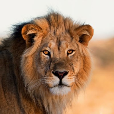 SlxcknotSlick's profile picture. 