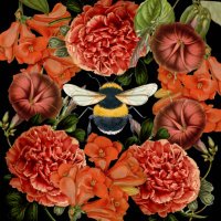 ImYourHoneyBee (@iwatchthebees1) 's Twitter Profile