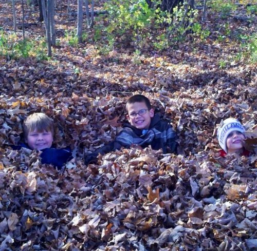 sallyabell's profile picture. 