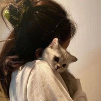 دانة الطويرقي (@daanadon419) 's Twitter Profile