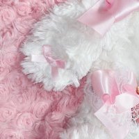 🎀やまだ🎀 (@px_xq0o) 's Twitter Profile Photo 🎀やまだ🎀 (@px_xq0o) 's Twitter Profile Photo