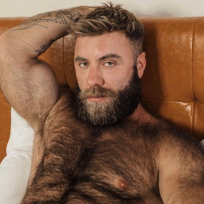 GoGo Teddy Bear (@TheXXXTeddyBear) / X