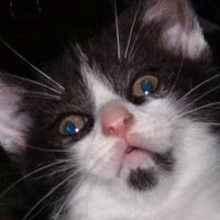 Meg (@pr3ttyprogress) 's Twitter Profile