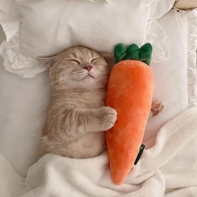 nxhxxz93's profile picture. 