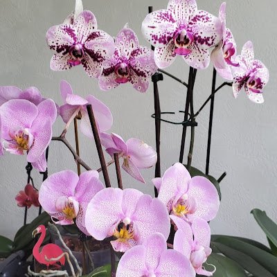 MurielPiar47126's profile picture. 