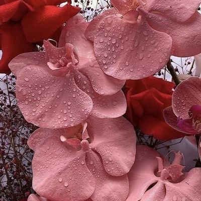 lola_swae's profile picture. Jesus Baby. Yoruba. Bookie. Messi lover.