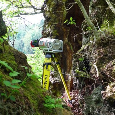 thetreehunter Rob McBride Profile