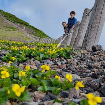 カルチョとプロレスの合間に生き物

野鳥、コガネムシ上科（特に食糞群）、昆虫、両爬、植物、メタルなど

 #糞虫 #鷹渡り #スミレ