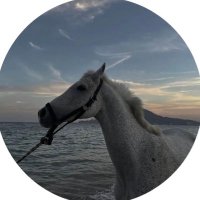 gh (@alhamalqwsy) Twitter profile photo