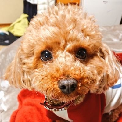 鳴子さんのプロフィール画像
