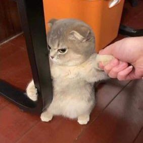 l0uk4sttru's profile picture. 🤔très intéressant