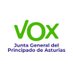 G.P. de VOX en Asturias (@gpvox_asturias) Twitter profile photo