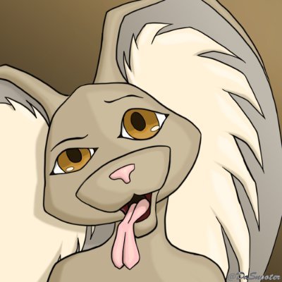 Da Snooterさんのプロフィール画像