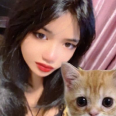 ayngnose's profile picture. lana. sylvia. greta. mitski. taylor. virginia