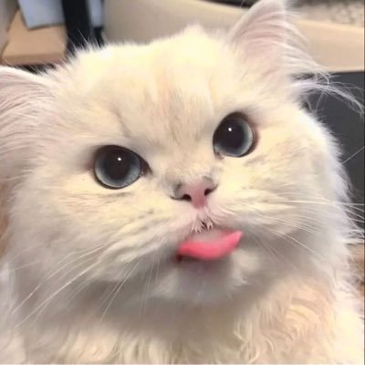 Pxui458768's profile picture. 