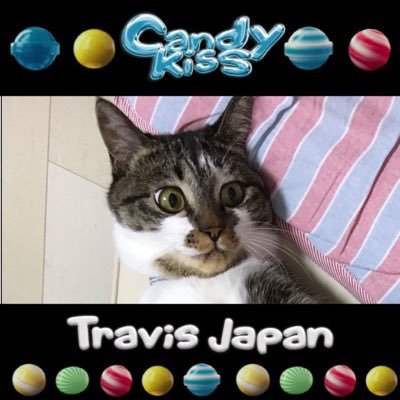 Travis Japan応援隊🐯松倉愛好家🐹ぴちゅ🧶YMMK🧡💙 無言フォロー失礼しております🙇🏻‍♀️こちらも無言フォロー大歓迎です🥰2号機(@eri106690)あり😇 著作権守って楽しく応援✨