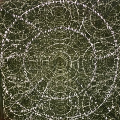 20_100g_'s profile picture. 