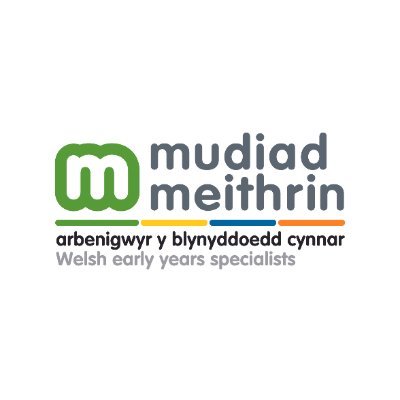 Arbenigwyr y blynyddoedd cynnar / Welsh early years specialists 
Rhif elusen / Charity Number - 1022320