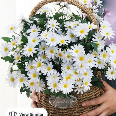 Doctor_ed_'s profile picture. 