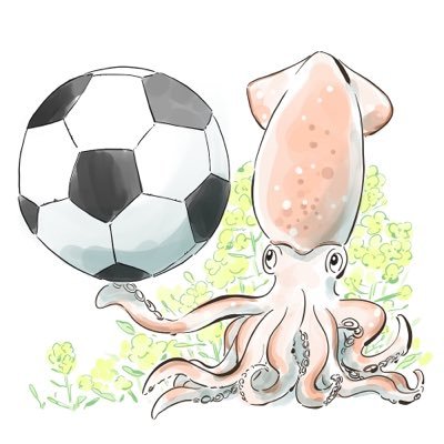 かにめしろ⚽️サッカーイラストさんのプロフィール画像