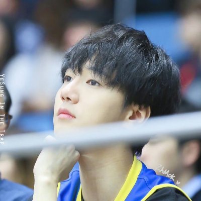 chaerinyesung25's profile picture. 