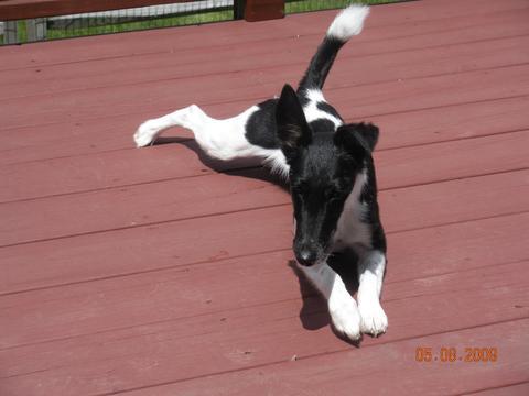 angiebynq's profile picture. 