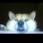 mofuko_mofufu's profile image