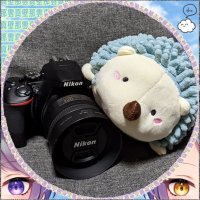 せーたん📷💘🍑ポトレ垢(@sefuriyama56_24) 's Twitter Profile Photo