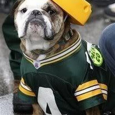 Life long Packer/WI Sports fan