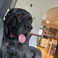 Barry Haner (@bear_haner) 's Twitter Profile