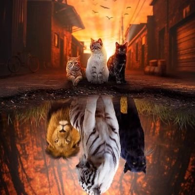 belina67's profile picture. 