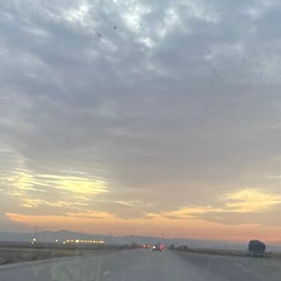 Neanderthaloids's profile picture. 