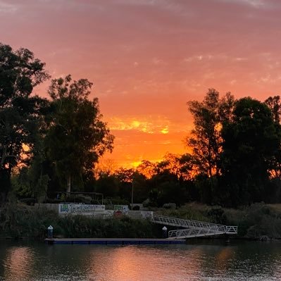 Rosamayo76's profile picture. 