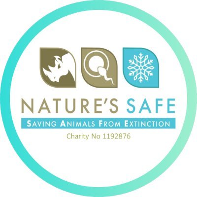 natures_safe Profile Picture