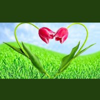 NerimanSerbes (@neriman78322062) 's Twitter Profile Photo NerimanSerbes (@neriman78322062) 's Twitter Profile Photo