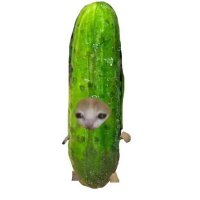 ผักอะไรขวัญอ่อน ตอบแตงกัว 🥒(@chohaeeun) 's Twitter Profile Photo