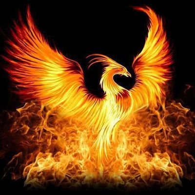 Panoramic_NFTz's profile picture. 