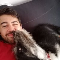 xGenesis (@xgenesis_lol) 's Twitter Profile