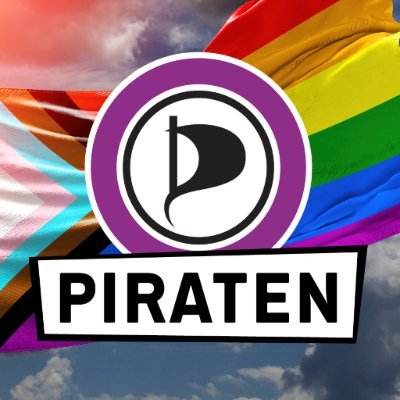 Piratepartei Profile Picture