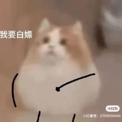 ujfbirur's profile picture. 