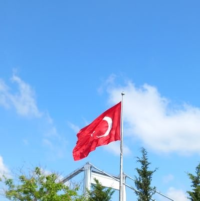 Endüstri mühendisi Kalite ve İş geliştirme Mühendisi
Makine Teknikeri
Kamu yönetimi Siyasetçi