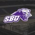 SBU Men’s Basketball (@SWBaptistMBB) Twitter profile photo