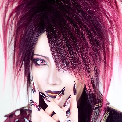 KISAKI_OFFICIAL Profile Picture