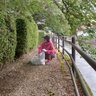 hotori_cafe's profile picture. ハーブティー🌿を提供して本も読めるブックカフェを営んでいます🫖📚
宮城県大崎市の地元野菜をたくさん使った健康な食事🥬
愛知県から主人と一緒に移住✈️
IHTAヨガインストラクター１級🧘‍♀
音楽♪絵画🖼舞台🐷鑑賞
野鳥の観察🐦楽しい田舎暮らし👒
お店はお一人様歓迎です