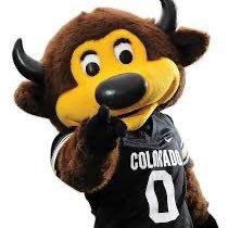 CU alum. Even the mascot needs a burner from time to time #skobuffs #wecoming